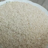 برنج علی کاظمی آبخور چشمه پدربابایی