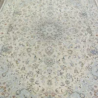 روفرشی ۱۲ متری