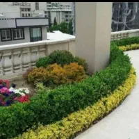 خدمات امور باغبانی گلکاری باغچه کاری هرسکاری کودهی|خدمات باغبانی و درختکاری|پردیس, فاز ۴|دیوار