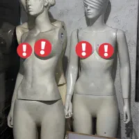 مانکن زن مانکن مرد|فروشگاه و مغازه|طبس, |دیوار