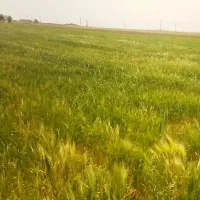 زمین-کشاورزی-6هکتار-بحر-جاده-اصلی