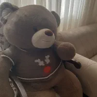 خرس خارجی ولنتاین نو