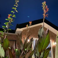 ویلا کلارآباد شهرکی|فروش خانه و ویلا|کلارآباد, |دیوار