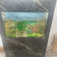 آکواریم یک متری کابینتی