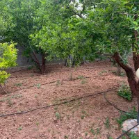 ۳۰۰۰ متر باغچه ۲۵۰ متر بنا در باغستان جابان