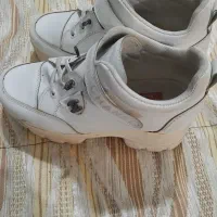 کتونی شیک|کیف، کفش، کمربند|پیشوا, |دیوار