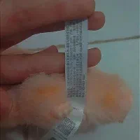 لبوبو مدل انرژی|اسباب‌‌بازی|بومهن, |دیوار