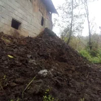 کود حیوانی خشک|خدمات باغبانی و درختکاری|رانکوه, |دیوار