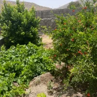 باغ ویلا|فروش دفتر صنعتی، کشاورزی، تجاری|دهبکری, |دیوار