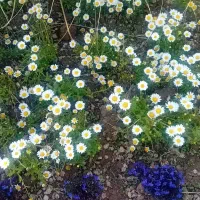 دعا و محبت بین زوجین