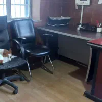 استخدام کارمند خانم