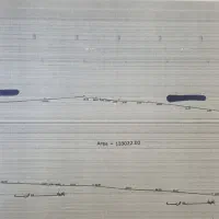 مازندران - متل قوی زیبا ( باغ مسکونی 10 هکتاری )|فروش زمین و ملک کلنگی|سلمانشهر, |دیوار