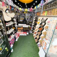 لبوبو 295|اسباب‌‌بازی|یاسوج, |دیوار