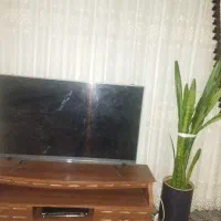 یک عدد تلویزیون ایکس ویژن 49اینج