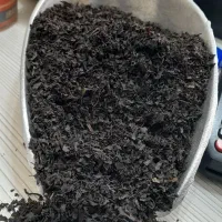 چای ممتاز مجلسی/ فقط عمده/کیلویی ۱۸۵تومان|خوردنی و آشامیدنی|رشت, یخسازی|دیوار