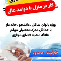 شرایط کار درمنزل ویژه بانوان