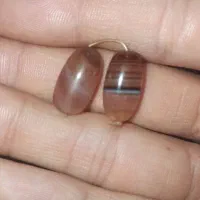 مهره سلیمانی شجری