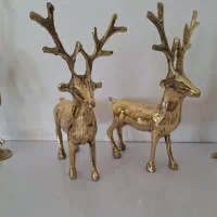 گوزن برنجی وغیر