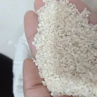 میان باری برنج فجر سوزنی امساله...خوشپخت|خوردنی و آشامیدنی|فاضل آباد, |دیوار