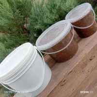 زیتون پرورده تازه عالی فاز 11