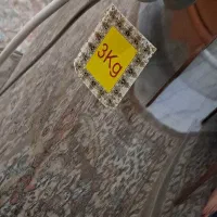 سبزی خرد کن