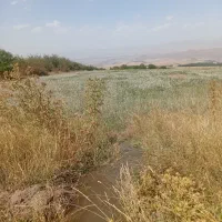 طبیعت