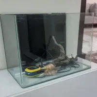 آکواریوم با تجهیزات کامل