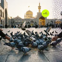 تور مشهد با قطار (۶تخته،۴تخته،لوکس ۵ستاره) و پرواز|تور و چارتر|تهران, سعادتآباد|دیوار