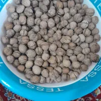 گردو سفید بامزه