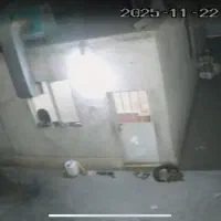 سرایدار تمام وقت