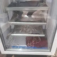 دستگاه جوجه کشی دماوند در حد نو|ماشینآلات صنعتی|آستانه اشرفیه, |دیوار