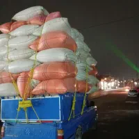 کاه به قیمت مناسب  تحویل درب منزل