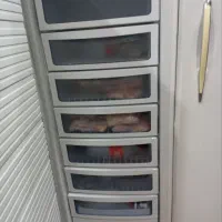 یخجال دو قلو