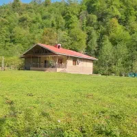 ویلا جنگلی بیژنگ