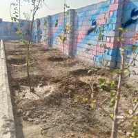 باغچه ۲۱۹ متری نقلی/ با شرایط اقساط|فروش زمین و ملک کلنگی|اندیشه, شهرک المهدی|دیوار