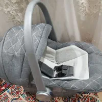 کریر دلیجان آغوشی نو