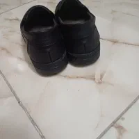 کیف و کفش|کیف، کفش، کمربند|تهران, خانی آباد نو شمالی|دیوار