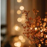 اجاره روزانه ،هفتگی،ملک ویلایی