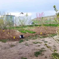 باغ وخانه باغ با انواع درخت میوه نرسیده به سرند|فروش خانه و ویلا|خواجه, |دیوار