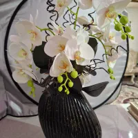 گل ارکیده ناب ناب|گل و گیاه طبیعی|شاهین‌شهر, فردوسی|دیوار