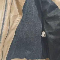 کاپشن چرم|لباس|اهر, |دیوار