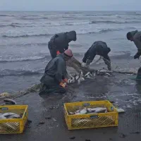 نیاز به همکار|استخدام صنعتی، فنی، مهندسی|چابکسر, |دیوار