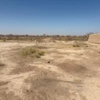 زمین پسته ای در محدوده فتح اباد شهرستان زرند|فروش زمین و ملک کلنگی|زرند, |دیوار