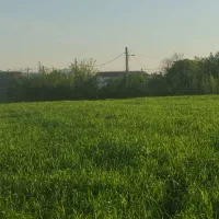 فروش زمین مسکونی شمال