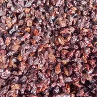 کشمش پلویی درجه یک