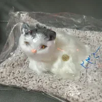 گربه خوابیده|اسباببازی|زنجان, |دیوار