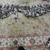 پرده نو|پرده، رانر، رومیزی|هلالی, |دیوار