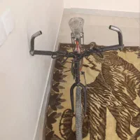 دوچرخه دنده ای|دوچرخه، اسکیت، اسکوتر|لردگان, |دیوار