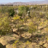 فروش باغ تقاب|فروش زمین و ملک کلنگی|خوسف, |دیوار