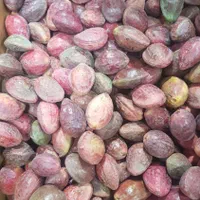 رطب و خرما درجه یک|خوردنی و آشامیدنی|اصفهان, ارغوانیه|دیوار